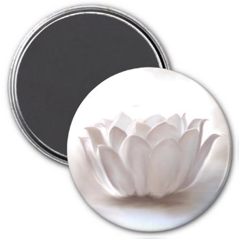 White Lotus Magnet by Avanda at Zazzle