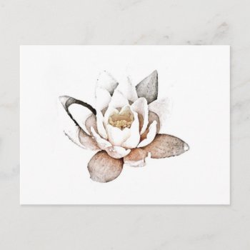 White Lotus Postcard by TINYLOTUS at Zazzle