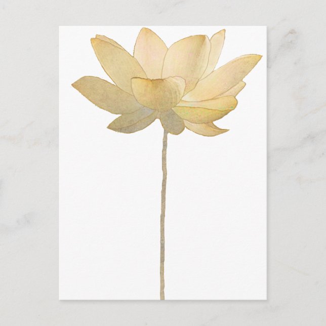 White Lotus Postcard (Front)