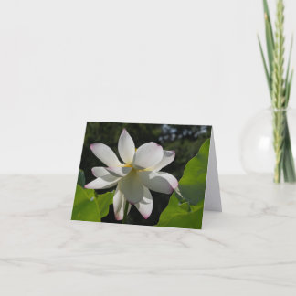 White Lotus | The Returning Note Cards