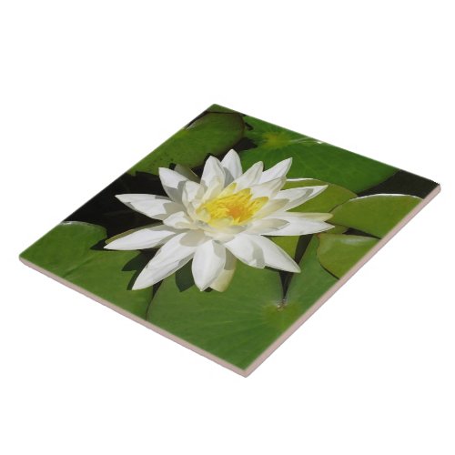 White Lotus Tile