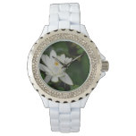 White Lotus Watch