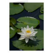 White Lotus Waterlily Card (Front)
