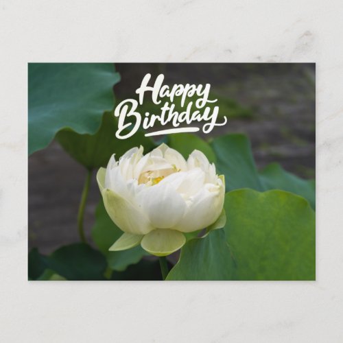 White lotus with word Happy Birthday  Postcard