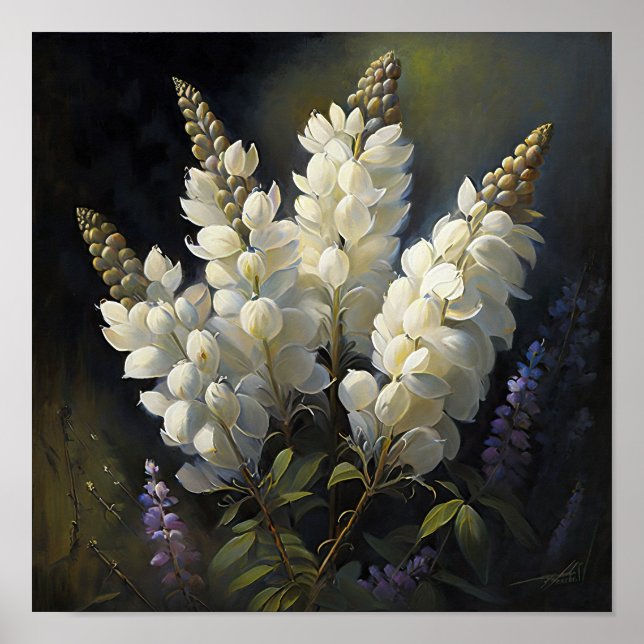 White Lupine Flower Art Print Poster (Front)