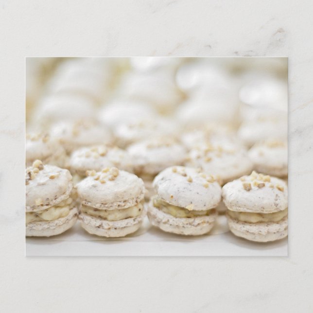 White Macaroons Postcard (Front)