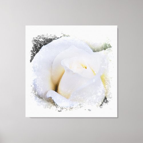  White Macro Rose Floral AR8 Canvas Print