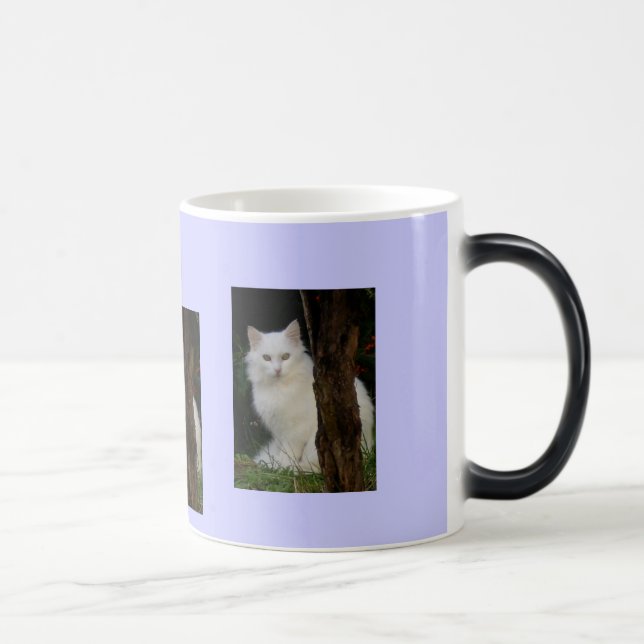 white magic cat color morph mug  (Right)