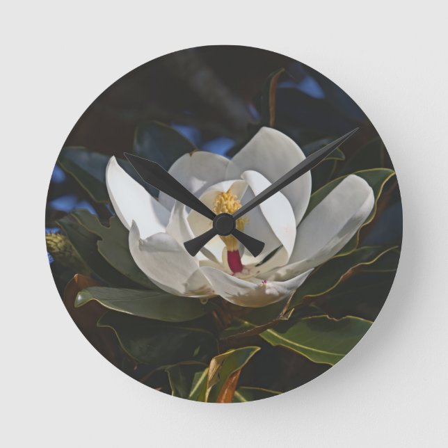 White Magnolia Bloom Wall Clock (Front)