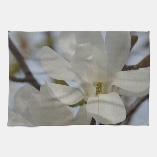White Magnolia Blooming in the Spring Towel (Horizontal)