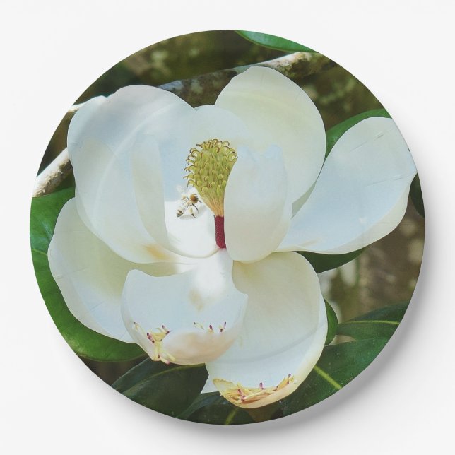 White Magnolia Blossom Paper Plates (Front)