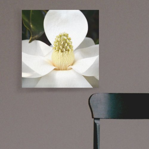 White Magnolia Blossom Photographic Botanical Canvas Print