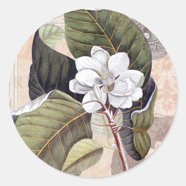 White Magnolia Blossom Vintage Botanical Classic Round Sticker | Zazzle