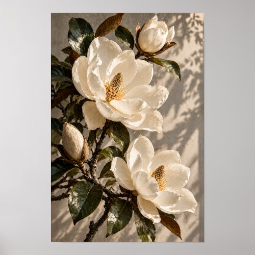 White Magnolia Blossoms in Warm Natural Light Wall Poster