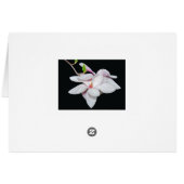 White Magnolia Cards (Back Horizontal)