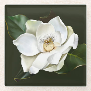White Magnolia Closeup Green Background Glass Coaster
