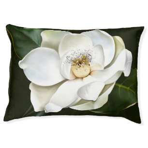 White Magnolia Closeup Green Background Pet Bed