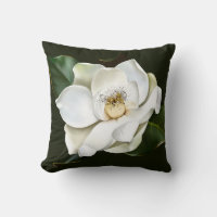 White Magnolia Closeup Green Background