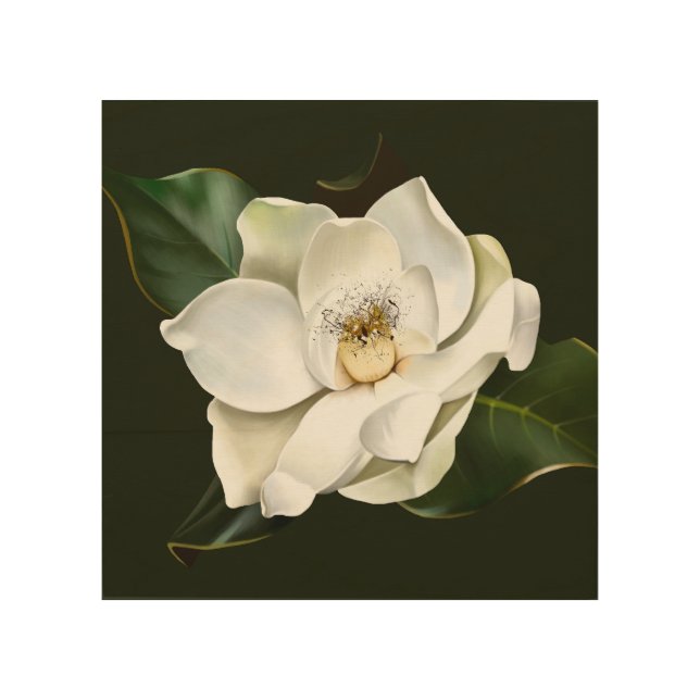 White Magnolia Closeup Green Background Wood Wall Art (Front)