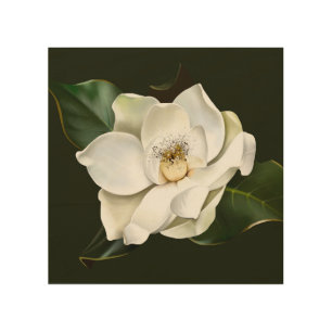 White Magnolia Closeup Green Background Wood Wall Art