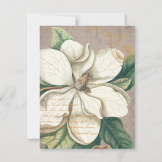 White Magnolia Flat Greeting Card