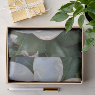 White Magnolia Floral Photo Tissue Paper