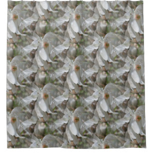 White Magnolia Flower Blossoms Nature Pattern Shower Curtain