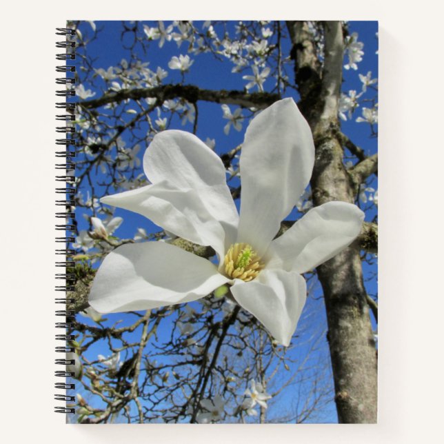 White Magnolia Flower in Tree. Notebook (Front)