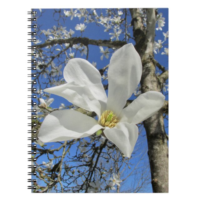 White Magnolia Flower in Tree.  Notebook (Front)
