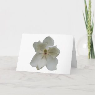 White Magnolia flower on blank note card