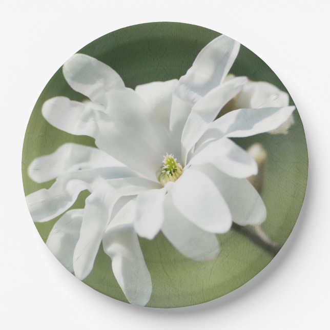 White Magnolia Flower Paper Plates (Front)