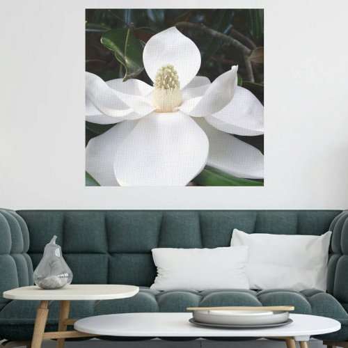 White Magnolia Flower Photographic Botanical Canvas Print