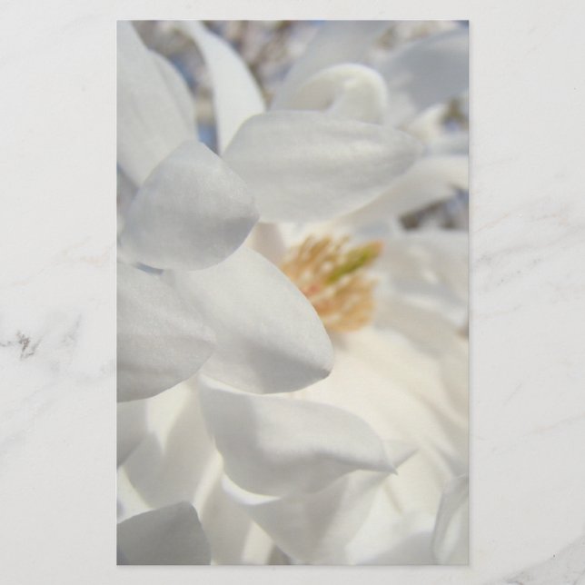 White Magnolia Flower stationery custom (Front)