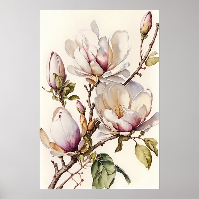 White Magnolia Flowers Art Print Poster (Front)