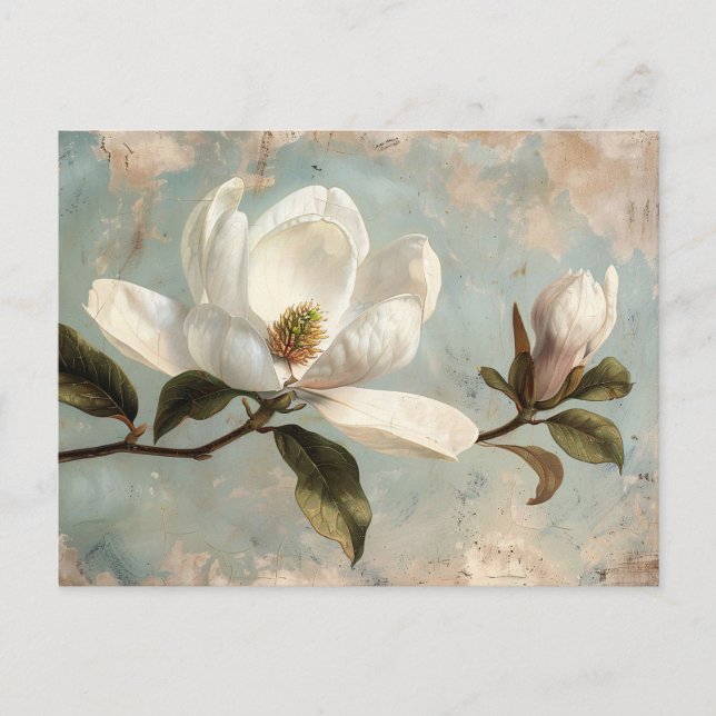 White Magnolia Flowers Vintage Postcard (Front)