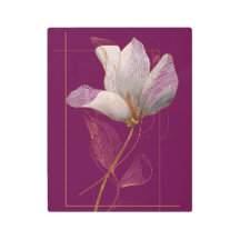 White Magnolia Gold Line Magenta