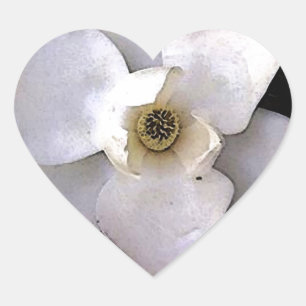 White Magnolia Heart Sticker