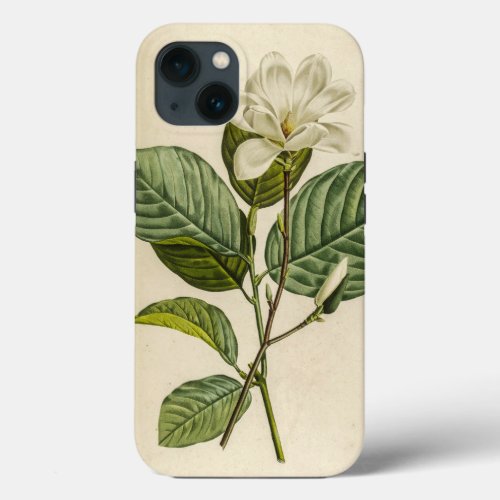 White Magnolia iPhone Case