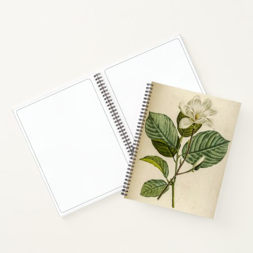 White Magnolia  Notebook