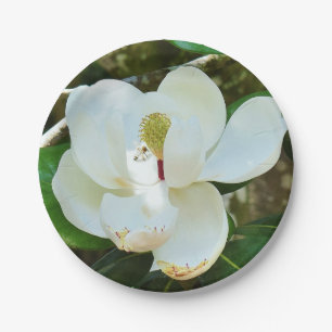 White Magnolia Paper Plate