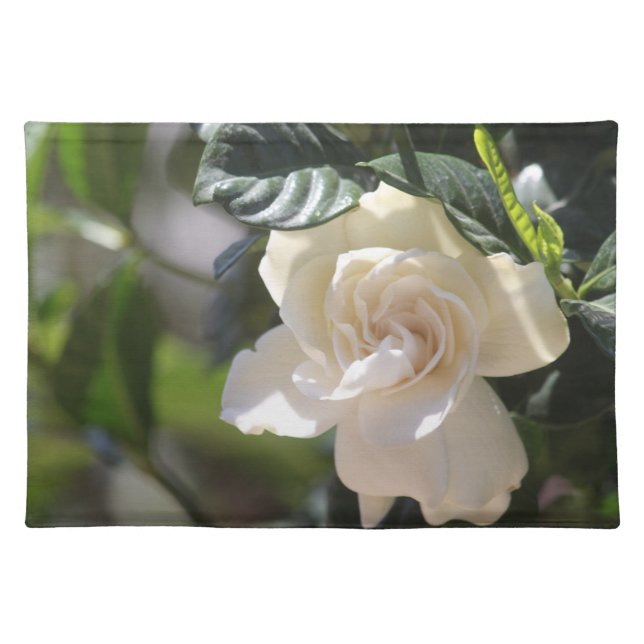White Magnolia Placemat (Front)
