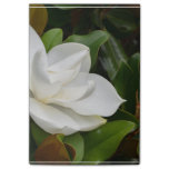 White Magnolia Post-it Notes