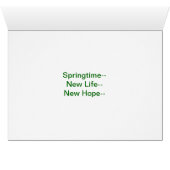 White Magnolia, Springtime (Inside Horizontal (Bottom))