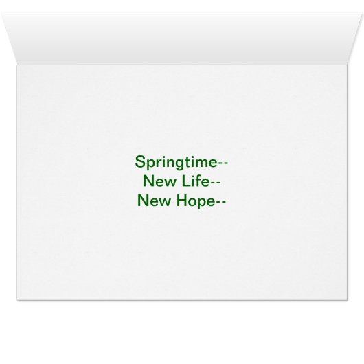 White Magnolia, Springtime (Inside Horizontal (Bottom))