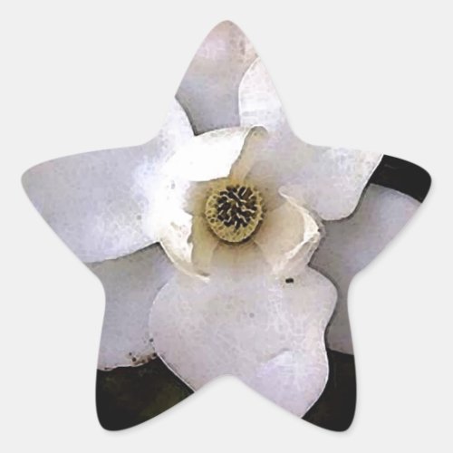 White Magnolia Star Sticker