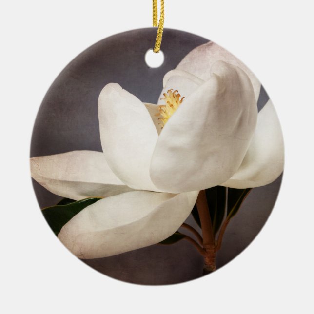White Magnolia Tree Flower Floral Flowers Grey Ceramic Ornament (Front)