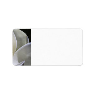 White Magnolia - Wedding Address Labels