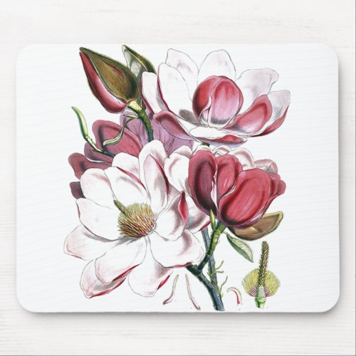 White Magnolias Flower Vintage Old Illustration Mouse Pad