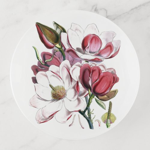 White Magnolias Flower Vintage Old Illustration Trinket Tray