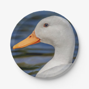 White Mallard Duck Paper Plates